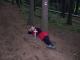 N�hodn� fotka z albumu
